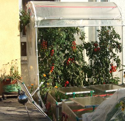 Tomatenhaus
